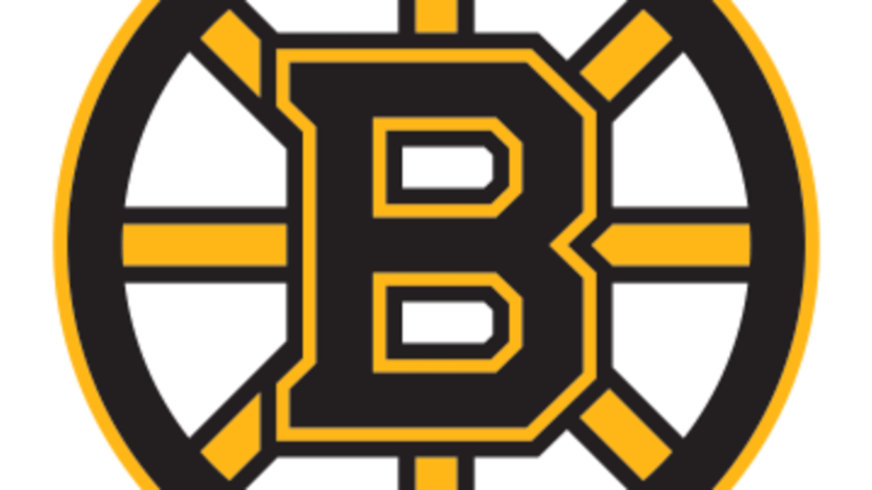 Boston Bruins Set New Record for Wins in a Single Regular Season with 63